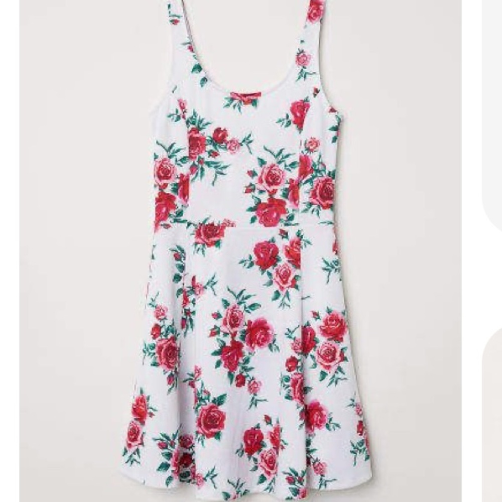 H&M Rose Print Tank Dress